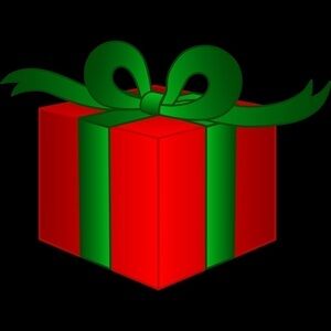 Christmas Holiday Mystery Box Top Bottom Accessories